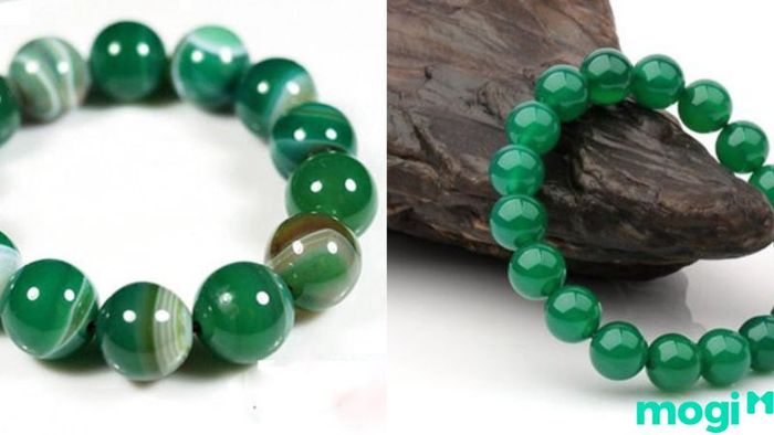 Bình Địa Mộc là gì?