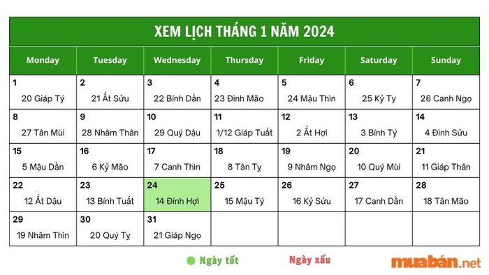 Khám phá chi tiết luận giải ngày 24/1/2024