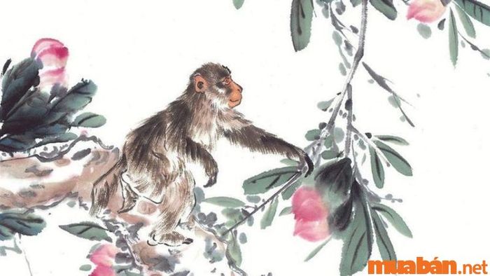 Tử vi Mậu Tý 2008 nữ mạng năm 2024 - Vận niên