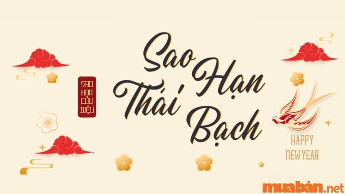 Tử vi Nhâm Tý 1972 nữ mạng năm 2024 - Cách hóa giải sao hạn