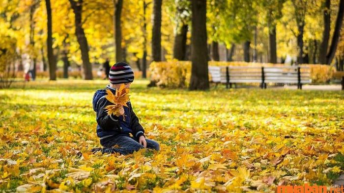 Tiết khí là gì, 6 tiết khí mùa Thu
