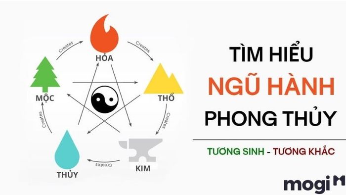 sao tử phù