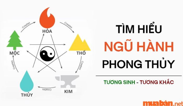 Theo ngũ hành, tử vi Bính Thìn 1976 nữ mạng năm 2024 cho thấy một năm tương đối suôn sẻ và tích cực.