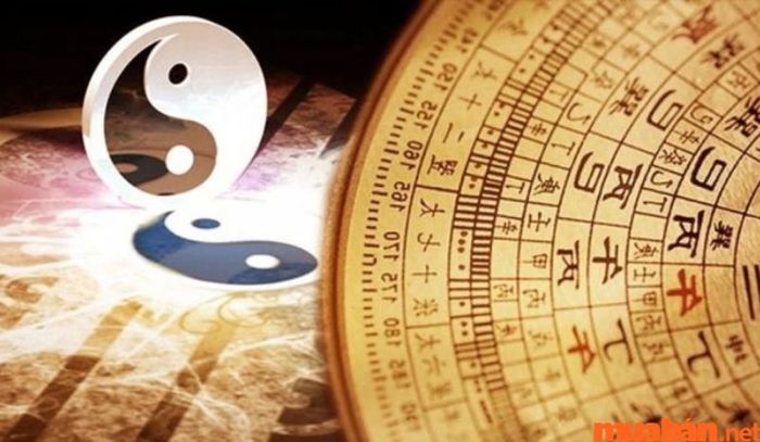 Mối quan hệ cung phi này giúp chủ mệnh có nhiều thuận lợi trong việc thăng tiến và đạt được mục tiêu trong công danh.