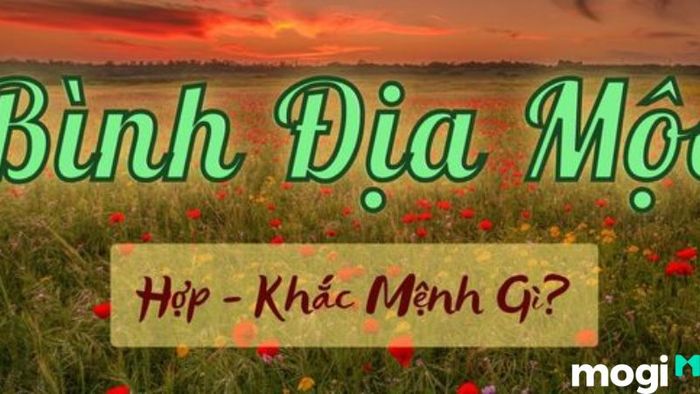 Bình Địa Mộc là gì?