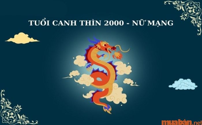 Theo dõi sự thay đổi trong 12 tháng của nữ Canh Thìn trong năm 2024