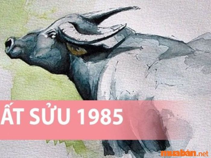 Tổng quan về tuổi Ất Sửu 1985 nam mạng