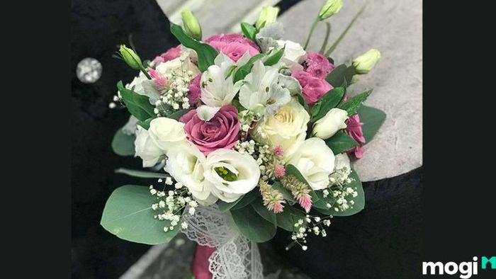Ý nghĩa hoa cẩm chướng