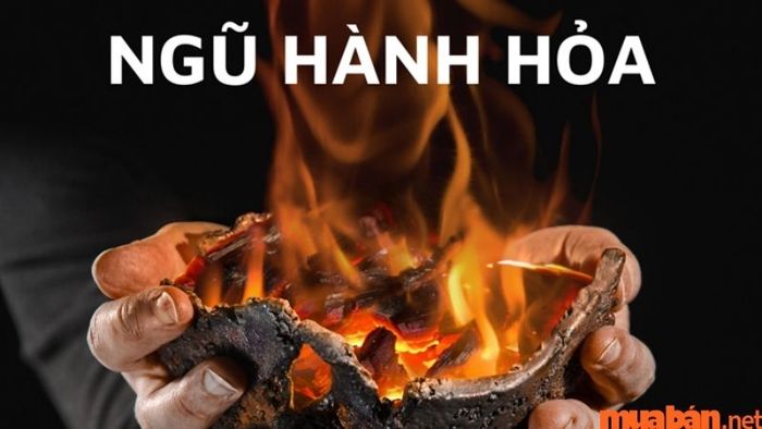 Tân Mùi thuộc ngũ hành Hỏa