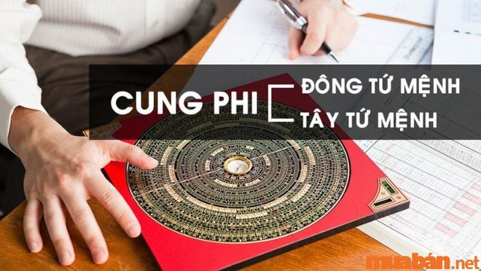 Tử vi Nhâm Tý 1972 nữ mạng năm 2024 qua cung phi