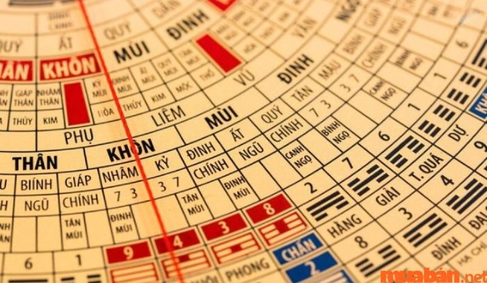Địa chi của năm 2024 đối với chủ mệnh không có gì đặc biệt nổi bật, tuy nhiên, cần lưu ý các yếu tố tiềm ẩn có thể ảnh hưởng đến vận trình.