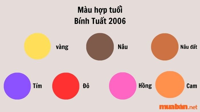 Màu sắc hợp tuổi Bính Tuất trong năm 2024