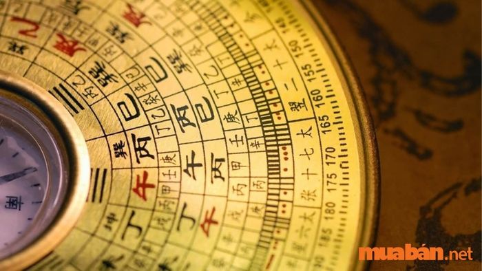 Cung Đoài là một trong các phương vị trong phong thủy Bát Trạch, đại diện cho một yếu tố quan trọng trong việc xác định hướng nhà.