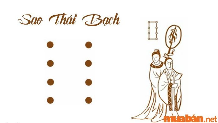 Tử vi Mậu Tý 2008 nữ mạng năm 2024 – Sao chiếu mạng