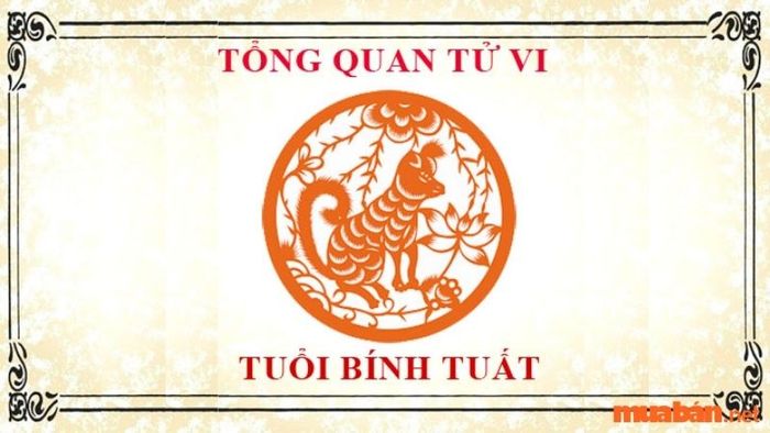 Lá số tử vi Bính Tuất 2006 nam mạng được phân tích theo từng tháng trong năm.