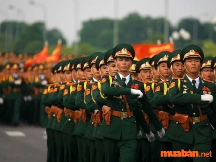 Sĩ quan là gì
