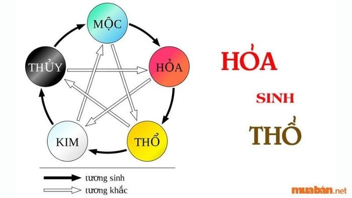 Năm Giáp Thìn 2024 mang đến sự thuận lợi cho người mệnh Thổ, vì theo ngũ hành, Hỏa sinh Thổ.