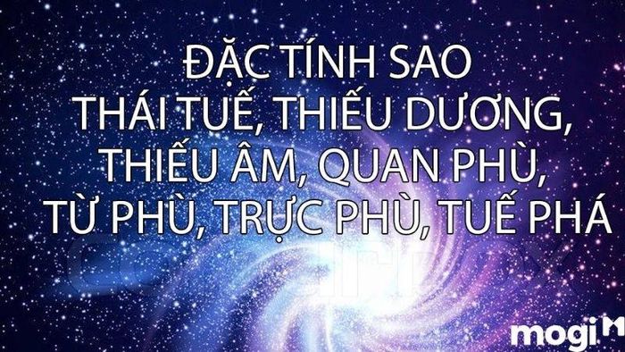 Tính cách của người mang mệnh sao Tử Phù rất thông minh và nhiệt huyết.