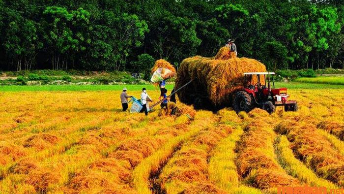 Ý nghĩa của 24 tiết khí trong đời sống