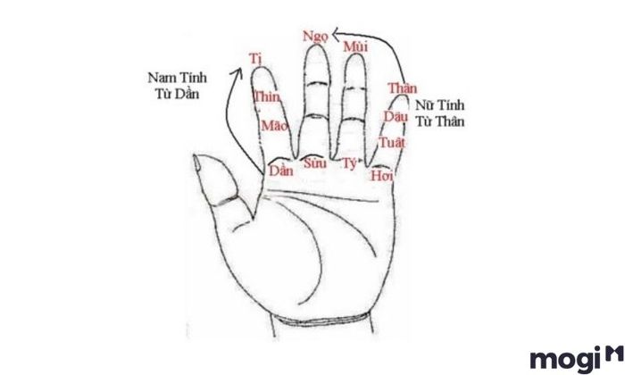 Cách tính trùng tang dựa vào địa chi trên bàn tay
