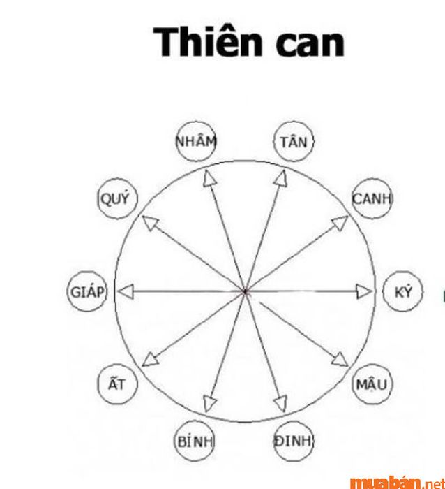 Phân tích tử vi Bính Thìn 1976 nam mạng theo thiên can