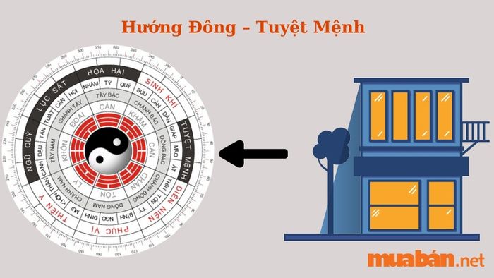 Hướng Đông – Tuyệt Mệnh: Gia chủ cung Đoài nếu chọn hướng Đông sẽ phải trải qua nhiều khó khăn, bởi sự khắc chế giữa Kim và Mộc, ảnh hưởng xấu đến mọi lĩnh vực trong cuộc sống.