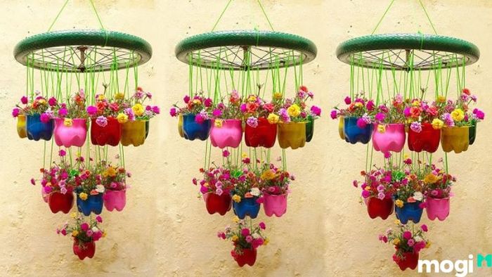 Cách trồng hoa mười giờ