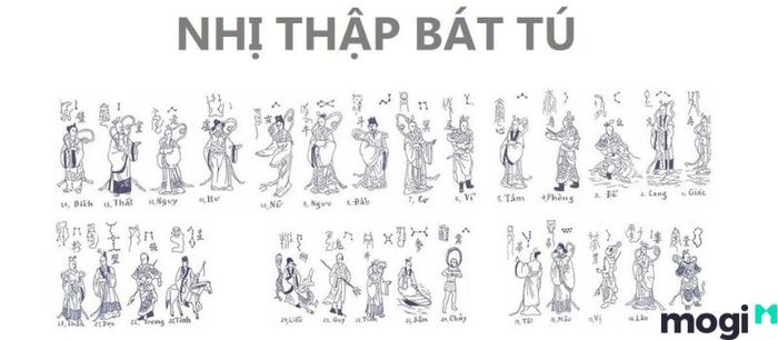 Chiêm tinh học là gì?