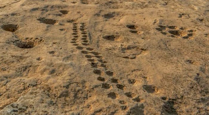 The purpose of certain carvings remains shrouded in mystery.