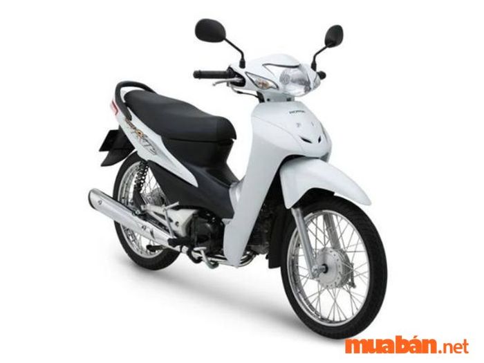 Xe 50cc có bao nhiêu mã lực?