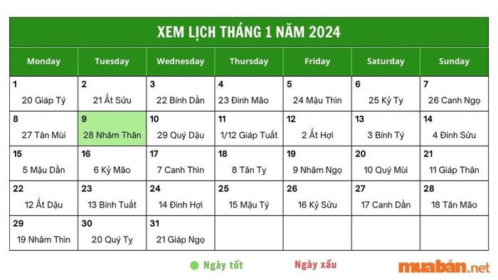 Xem chi tiết luận giải ngày 9/1/2024