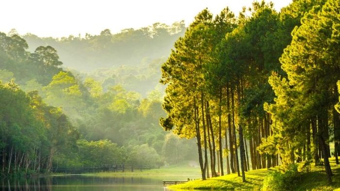 Tiết Tiểu Mãn có ý nghĩa gì trong văn hóa truyền thống?