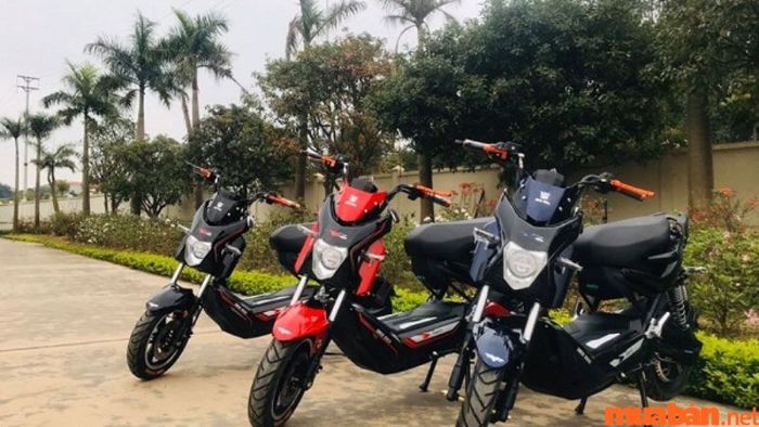 bảng giá xe đạp điện Xmen