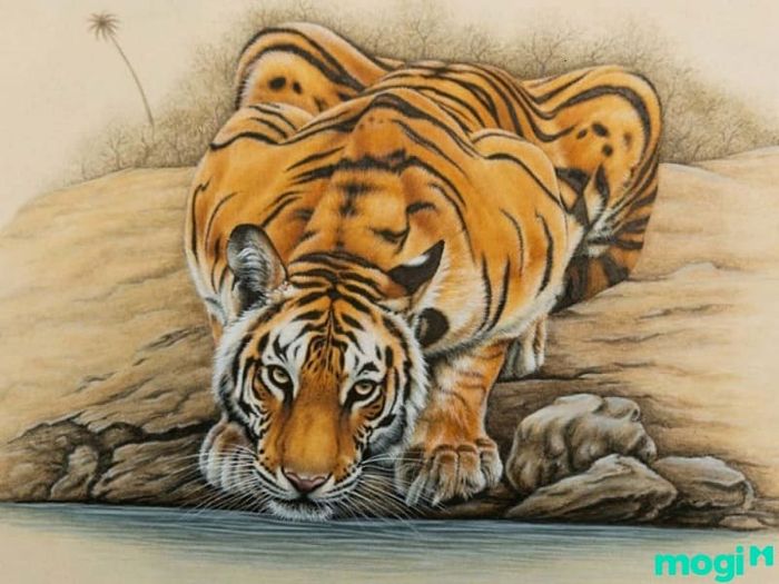 Giờ Dần là mấy giờ - Những điều người sinh vào giờ Dần cần lưu ý?