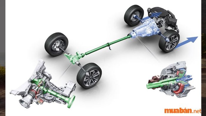 Hệ dẫn động 4WD giúp tiết kiệm nhiên liệu tốt hơn so với AWD vì nó có thể tự động giảm mức tiêu thụ nhiên liệu khi xe di chuyển trên mặt đường phẳng, ít gồ ghề. Ngược lại, hệ dẫn động AWD với thiết kế phức tạp và trọng lượng nặng, khiến cho lượng nhiên liệu tiêu hao thường cao hơn một chút.