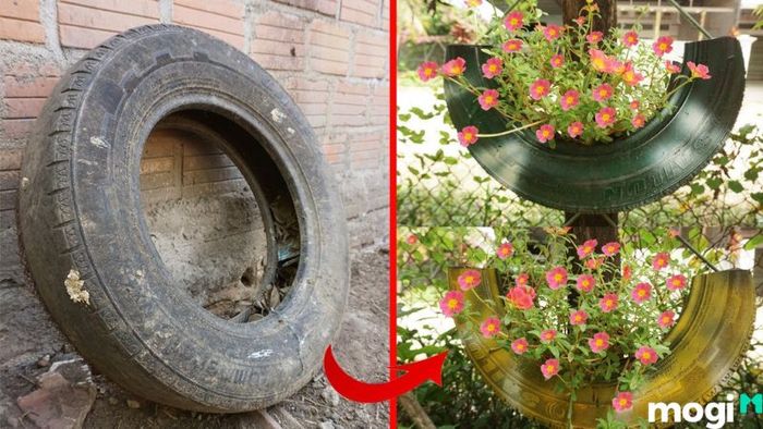 Cách trồng hoa mười giờ