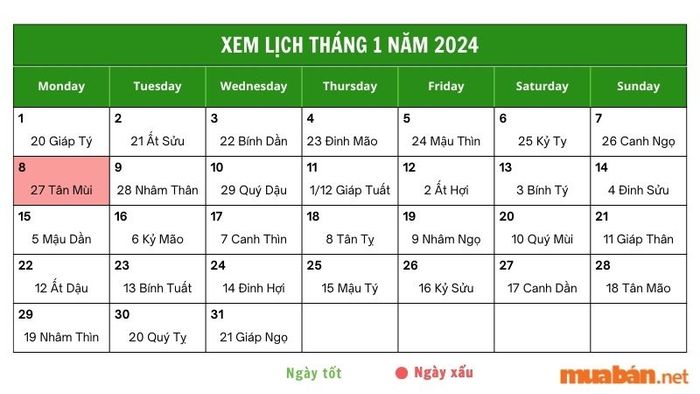 Bảng sao hạn năm 2024 cho tuổi Dần