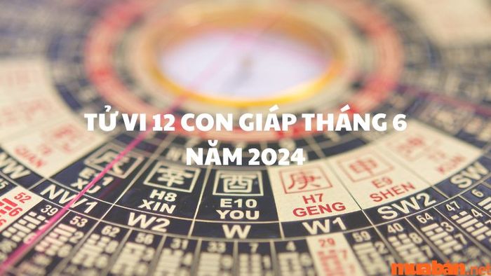 Tử vi 12 con giáp tháng 6 năm 2024