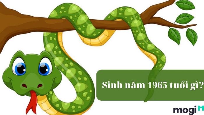 1965 là tuổi gì?