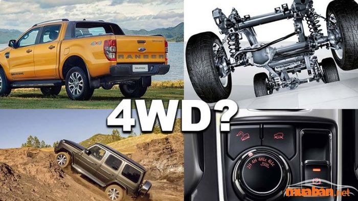 Hệ dẫn động 4WD (4 Wheel Drive) là hệ thống sử dụng hai cầu, cho phép người sử dụng chuyển đổi giữa dẫn động một cầu và hai cầu. Những xe trang bị hệ dẫn động này có ba chế độ cơ bản: cầu sau, cầu 2 cầu chậm, và cầu 2 cầu nhanh để đáp ứng các điều kiện địa hình khác nhau.