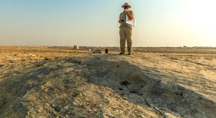 The site is home to approximately 900 individual carvings.