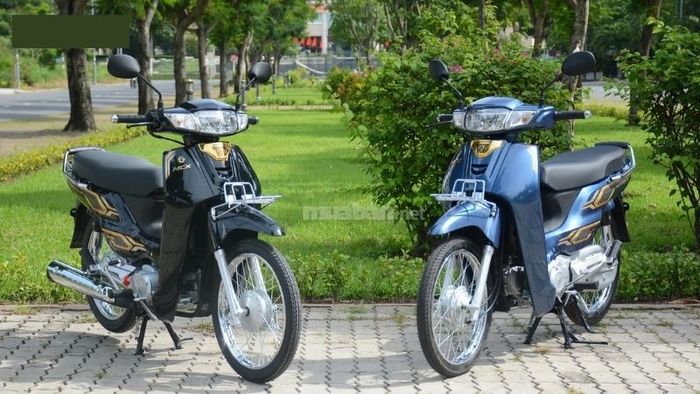 Hãy tham khảo Mytour để sở hữu một chiếc xe Dream với mức giá hợp lý