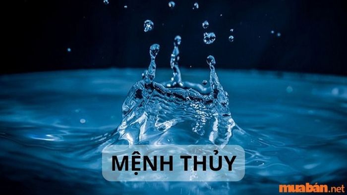 Cung Khảm thuộc hành nào?