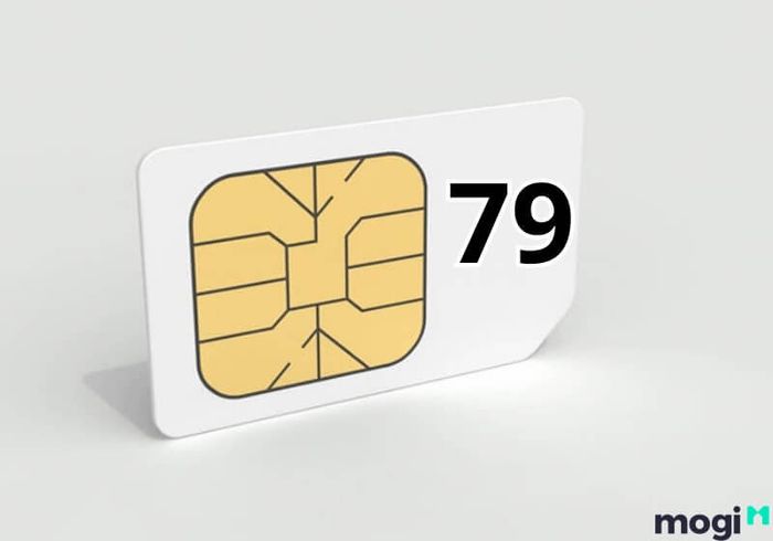 Số 79 trong sim điện thoại mang ý nghĩa đặc biệt về tài lộc, giúp chủ sở hữu thu hút vận may về tiền tài.