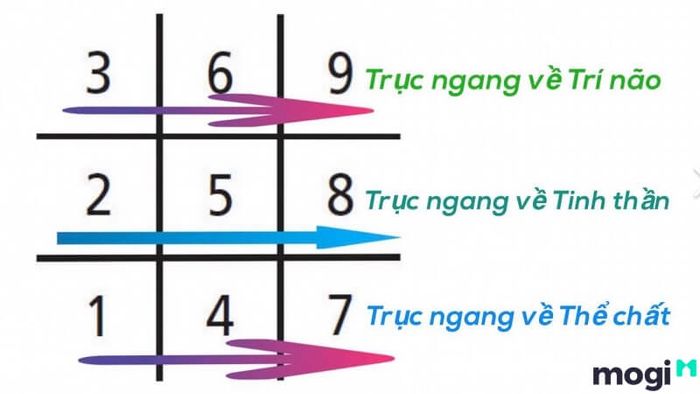 Theo Thần số học, người mang số 79 thường rất thông minh và hiểu biết rộng, có khả năng đạt được nhiều thành tựu.