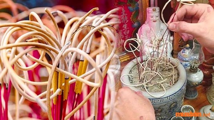 Cách Tỉa Chân Nhang Đúng Phong Thủy, Tránh Những Sai Lầm Phổ Biến