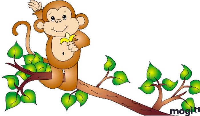 Giờ Thân là mấy giờ – Tử vi cho người tuổi Thìn sinh vào giờ Thân