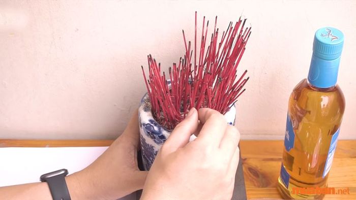 Tỉa Chân Nhang