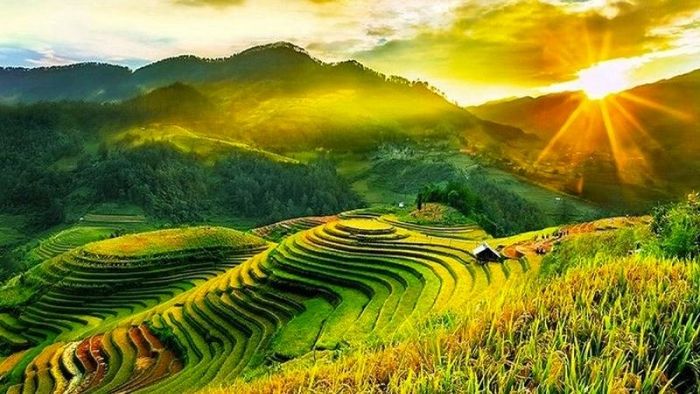 Tiết Tiểu Mãn là tiết khí thứ 8 trong mùa hè, diễn ra ngay sau tiết Lập Hạ và trước tiết Mang Chủng.
