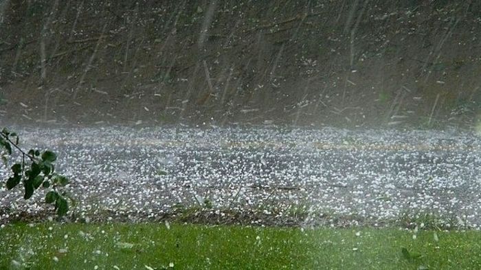 Những điều thú vị bạn chưa biết về Tiết Tiểu Mãn